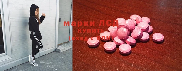 шишки Абинск